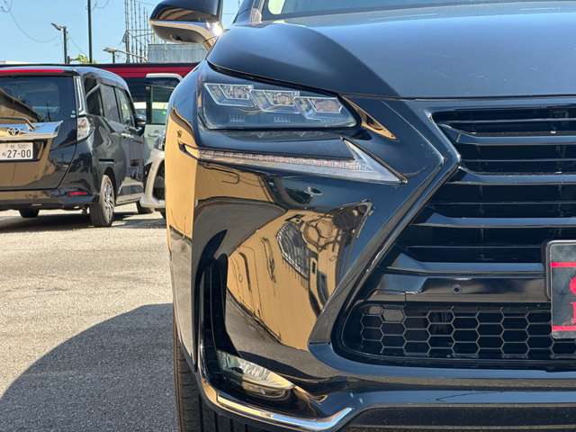 Lexus NX 10