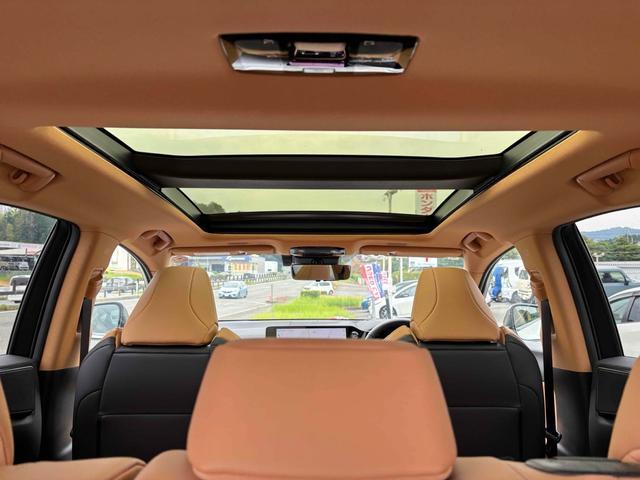 Lexus NX 5