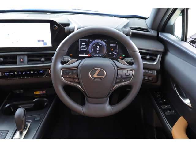 Lexus UX300e 12
