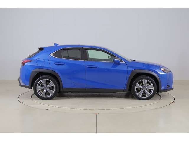 Lexus UX300e 4