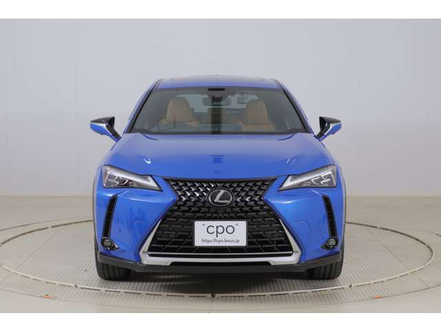 Lexus UX300e 5