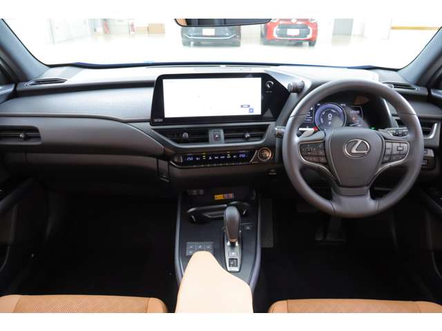 Lexus UX300e 6
