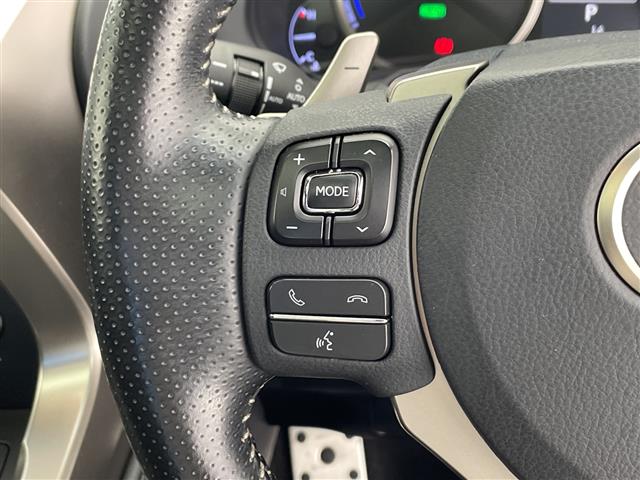 Lexus NX 12