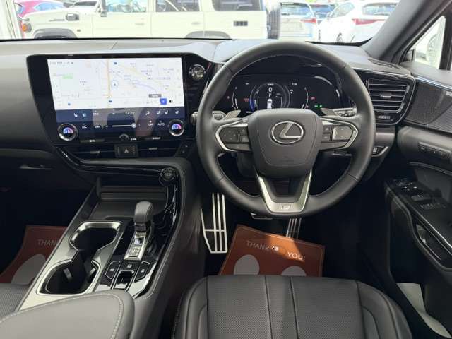 Lexus NX 11