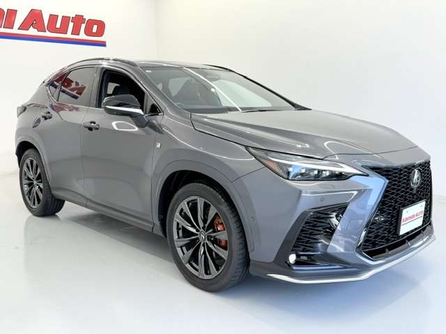 Lexus NX 6