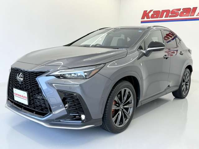 Lexus NX 7