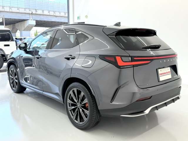 Lexus NX 8