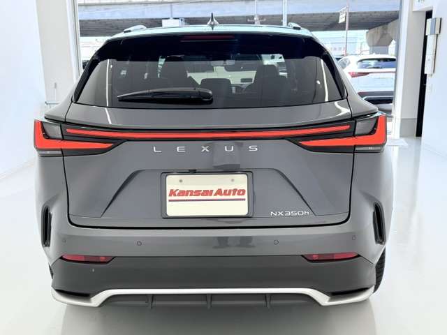 Lexus NX 10