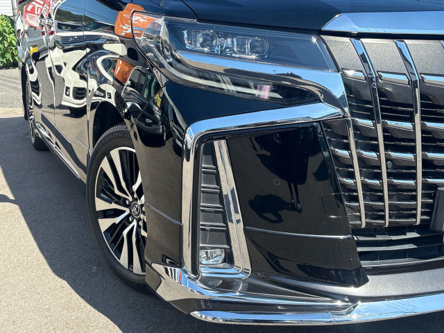Toyota Alphard 11