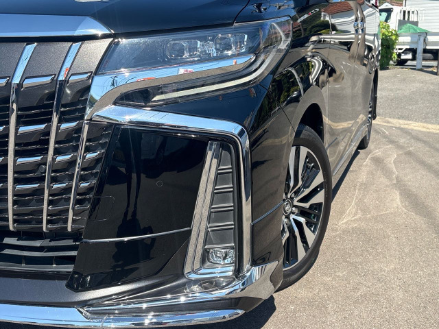 Toyota Alphard 12