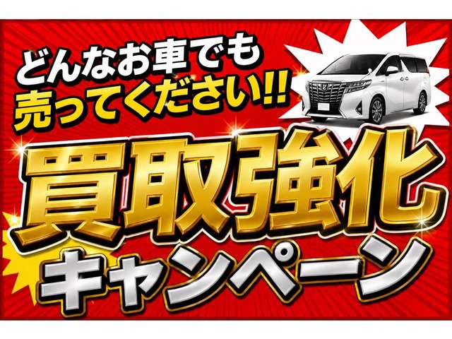 Toyota Alphard 2