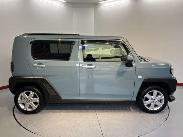 Daihatsu Taft 5