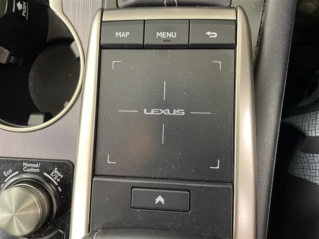 Lexus RX 11