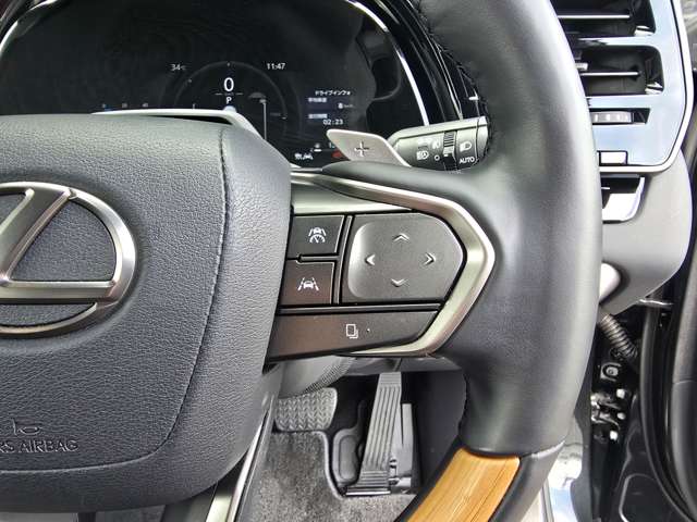 Lexus RX 11