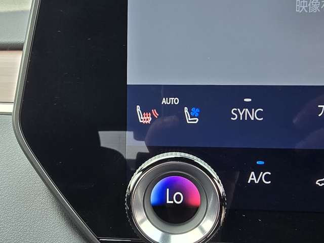 Lexus RX 12