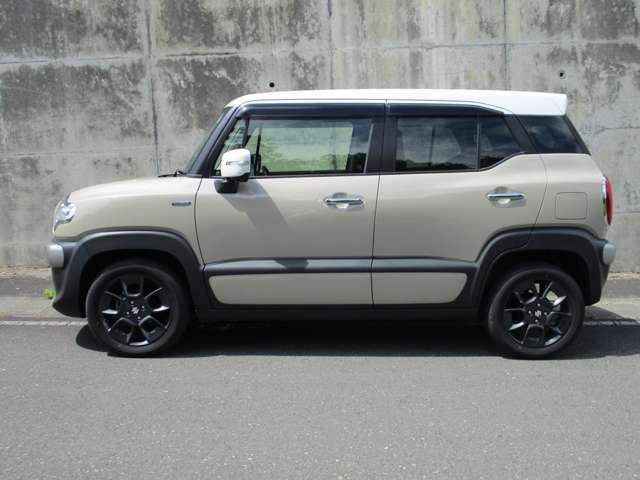 Suzuki XBEE 3