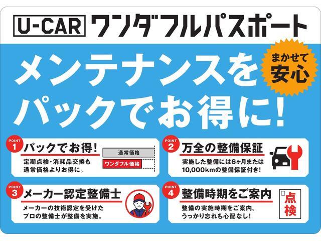 Daihatsu Taft 10
