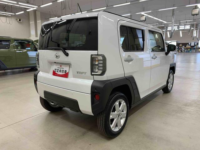 Daihatsu Taft 11