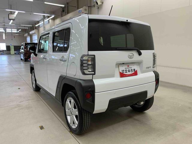 Daihatsu Taft 12