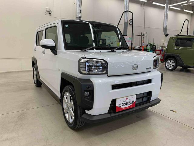 Daihatsu Taft 9