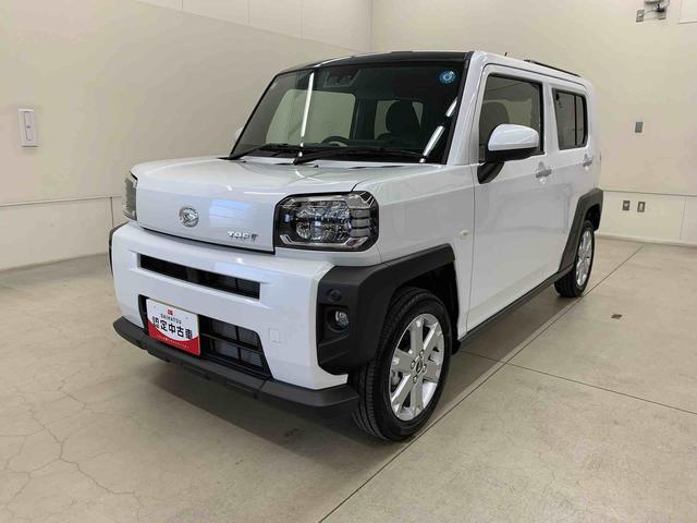 Daihatsu Taft 10