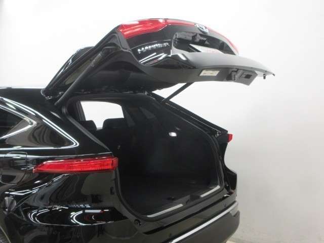 Toyota Harrier 10