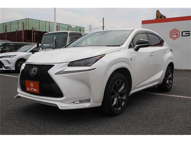 Lexus NX 11