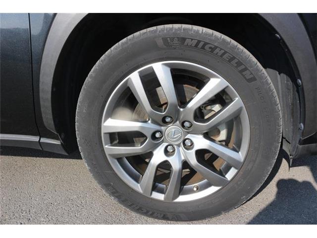 Lexus NX 11