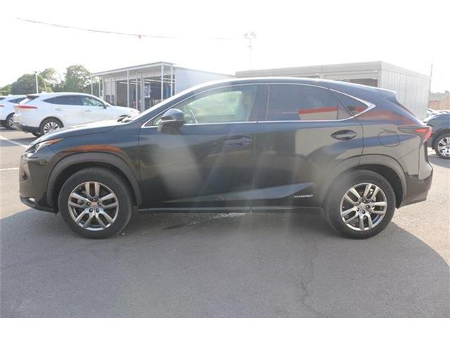 Lexus NX 6