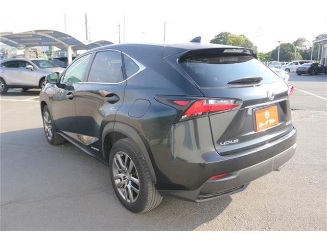 Lexus NX 7