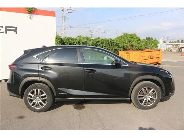 Lexus NX 10