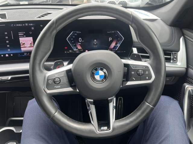 BMW X1 10