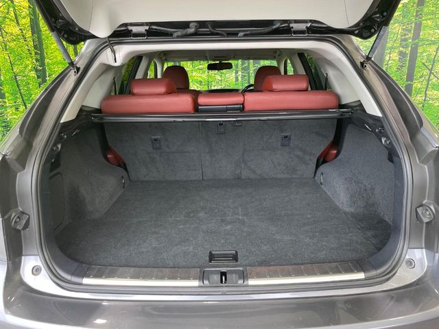 Lexus RX Hybrid 11