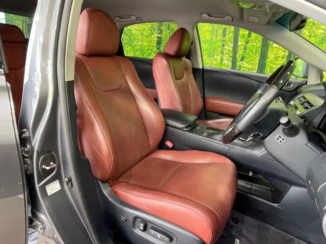 Lexus RX Hybrid 9
