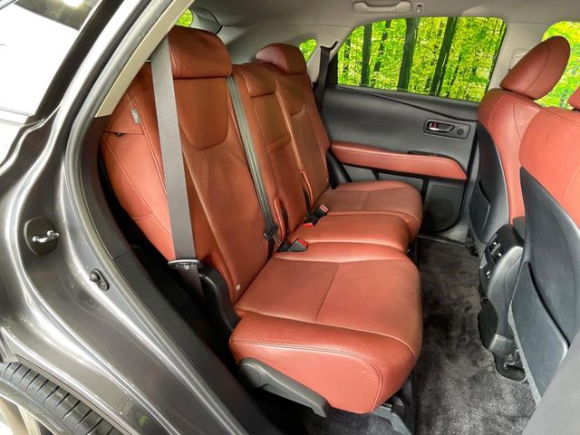 Lexus RX Hybrid 10