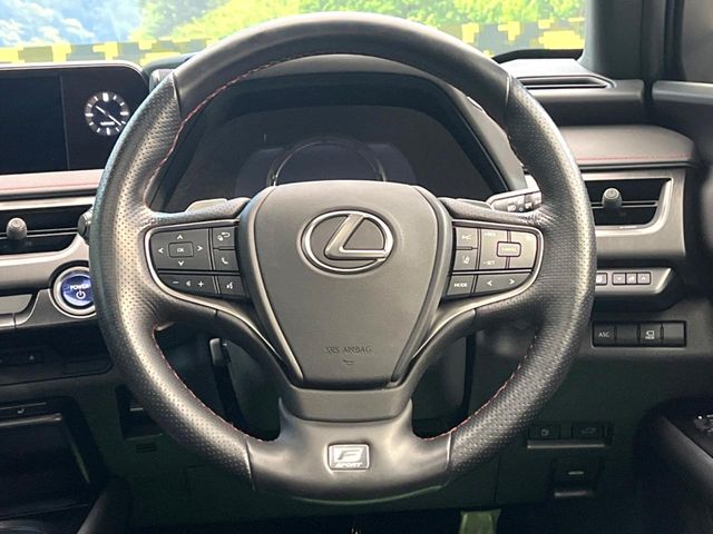 Lexus UX 11