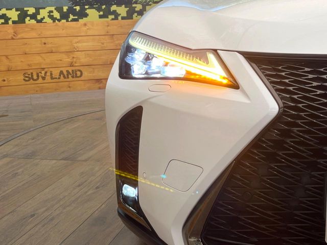 Lexus UX 12