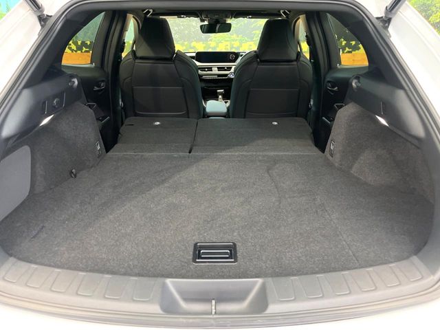 Lexus UX 10