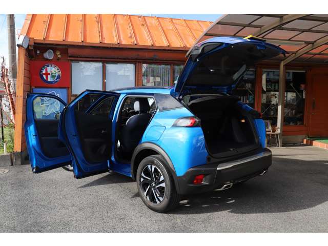 Peugeot SUV 2008 11