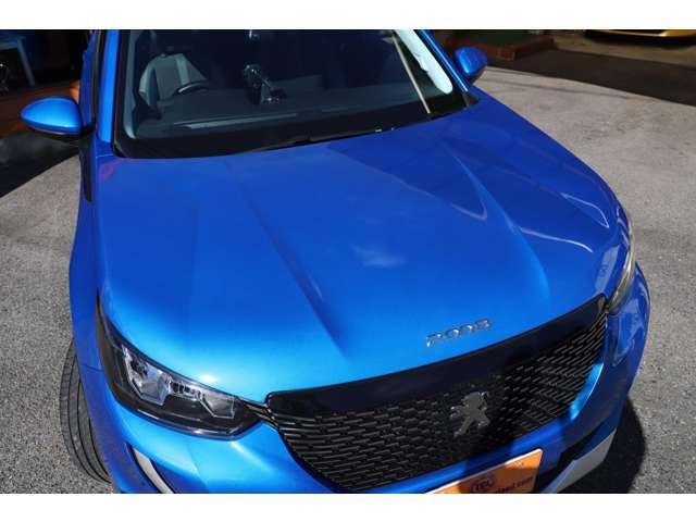 Peugeot SUV 2008 12