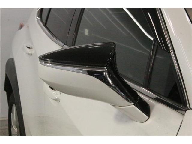 Lexus UX 11