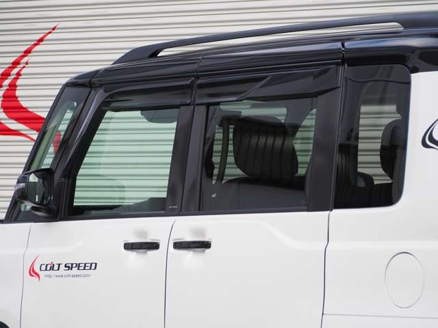 Mitsubishi Delica Mini 11