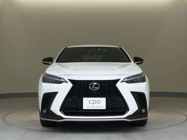 Lexus NX 12