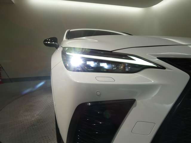 Lexus NX 6