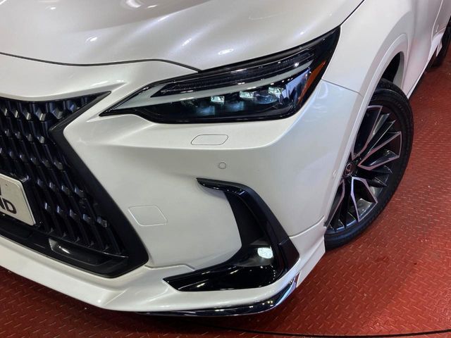 Lexus NX 11
