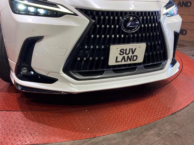 Lexus NX 4