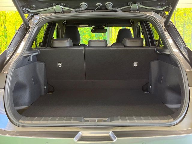 Lexus LBX 11