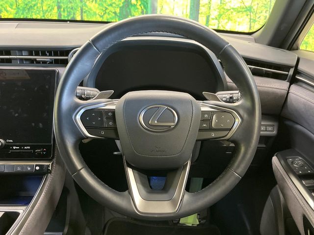 Lexus LBX 12