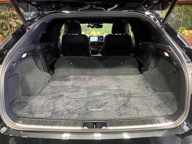 Lexus RX 11