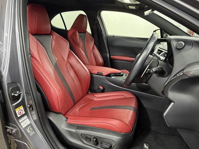Lexus UX 11
